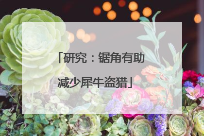 研究：锯角有助减少犀牛盗猎