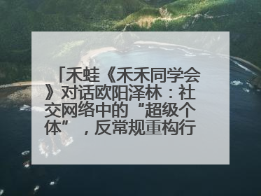 禾蛙《禾禾同学会》对话欧阳泽林：社交网络中的“超级个体”，反常规重构行业生态！