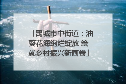 禹城市中街道：油葵花海绚烂绽放 绘就乡村振兴新画卷
