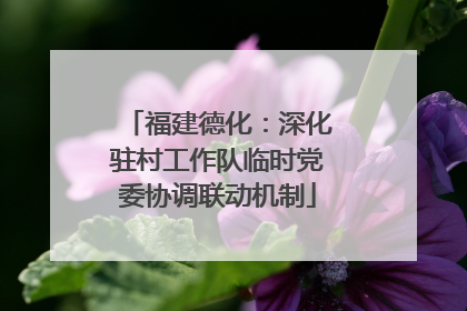 福建德化：深化驻村工作队临时党委协调联动机制