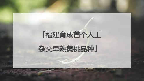 福建育成首个人工杂交早熟黄桃品种