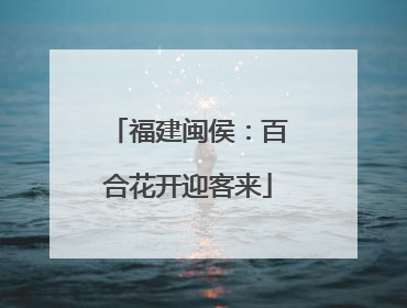 福建闽侯：百合花开迎客来