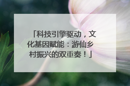 科技引擎驱动，文化基因赋能：游仙乡村振兴的双重奏！