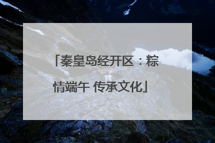 秦皇岛经开区：粽情端午 传承文化