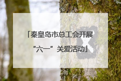 秦皇岛市总工会开展“六一”关爱活动