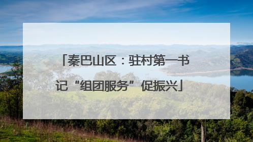 秦巴山区：驻村第一书记“组团服务”促振兴