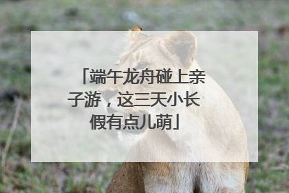 端午龙舟碰上亲子游，这三天小长假有点儿萌