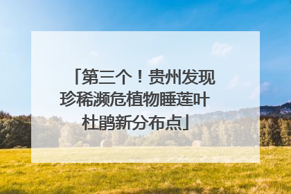 第三个！贵州发现珍稀濒危植物睡莲叶杜鹃新分布点