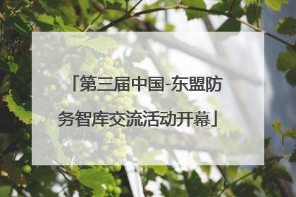 第三届中国-东盟防务智库交流活动开幕