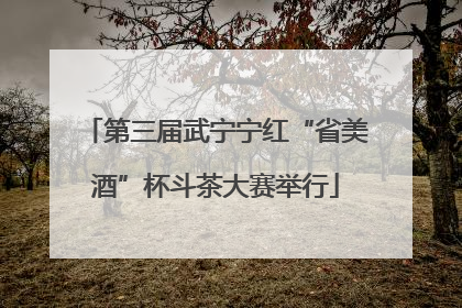 第三届武宁宁红“省美酒”杯斗茶大赛举行
