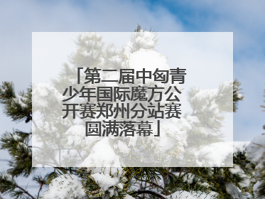 第二届中匈青少年国际魔方公开赛郑州分站赛圆满落幕