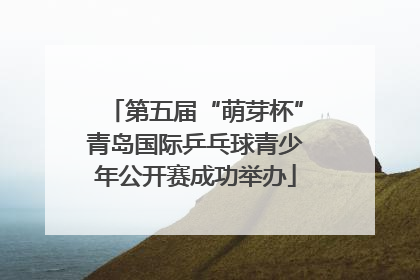 第五届“萌芽杯”青岛国际乒乓球青少年公开赛成功举办