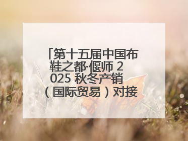 第十五届中国布鞋之都·偃师 2025 秋冬产销（国际贸易）对接会隆重开幕