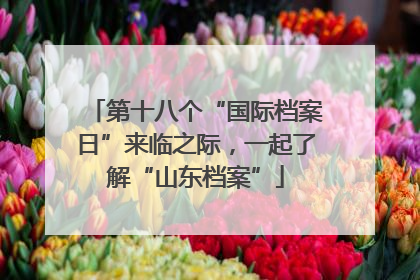 第十八个“国际档案日”来临之际，一起了解“山东档案”