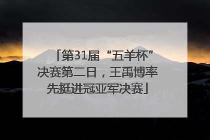 第31届“五羊杯”决赛第二日，王禹博率先挺进冠亚军决赛