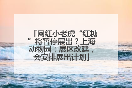 网红小老虎“红糖”将暂停展出？上海动物园：展区改建，会安排展出计划