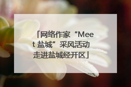 网络作家“Meet 盐城”采风活动走进盐城经开区