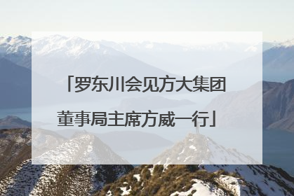 罗东川会见方大集团董事局主席方威一行