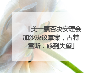 美一票否决安理会加沙决议草案，古特雷斯：感到失望