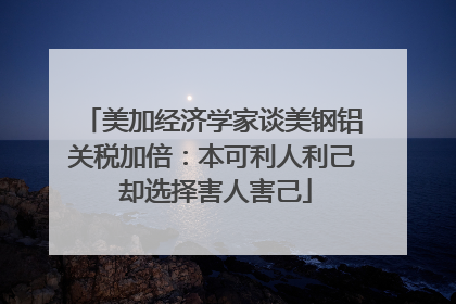 美加经济学家谈美钢铝关税加倍：本可利人利己 却选择害人害己