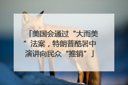 美国会通过“大而美”法案，特朗普酷暑中演讲向民众“推销”