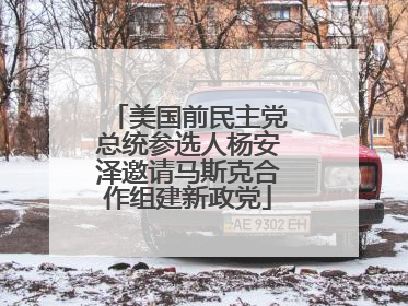 美国前民主党总统参选人杨安泽邀请马斯克合作组建新政党