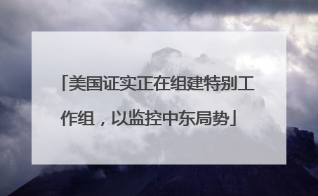 美国证实正在组建特别工作组，以监控中东局势