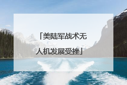 美陆军战术无人机发展受挫