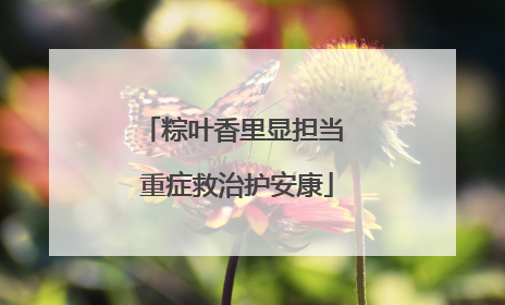 粽叶香里显担当 重症救治护安康