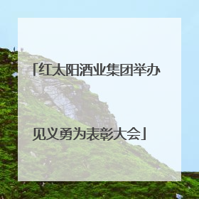 红太阳酒业集团举办见义勇为表彰大会