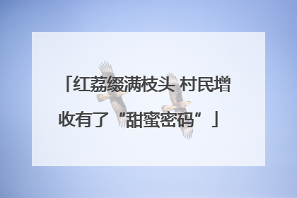 红荔缀满枝头 村民增收有了“甜蜜密码”