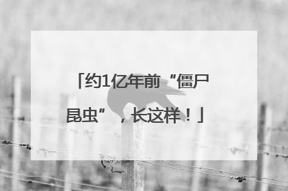 约1亿年前“僵尸昆虫”，长这样！