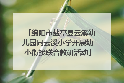 绵阳市盐亭县云溪幼儿园同云溪小学开展幼小衔接联合教研活动
