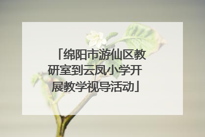 绵阳市游仙区教研室到云凤小学开展教学视导活动