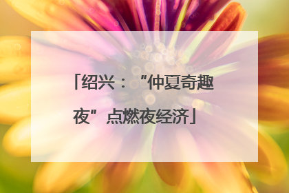 绍兴：“仲夏奇趣夜”点燃夜经济