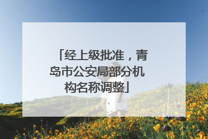 经上级批准，青岛市公安局部分机构名称调整