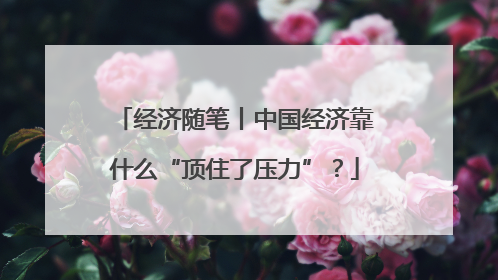 经济随笔丨中国经济靠什么“顶住了压力”？