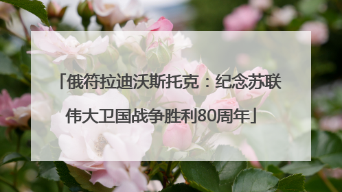 俄符拉迪沃斯托克：纪念苏联伟大卫国战争胜利80周年
