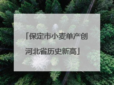 保定市小麦单产创河北省历史新高