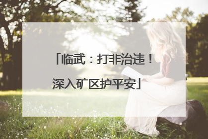 临武：打非治违！深入矿区护平安