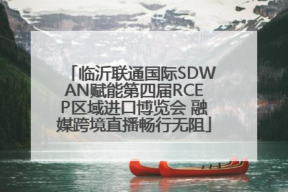 临沂联通国际SDWAN赋能第四届RCEP区域进口博览会 融媒跨境直播畅行无阻