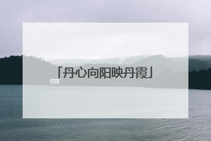 丹心向阳映丹霞