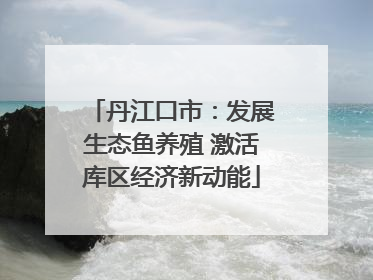 丹江口市：发展生态鱼养殖 激活库区经济新动能