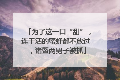 为了这一口“甜”，连干活的蜜蜂都不放过，诸暨两男子被抓