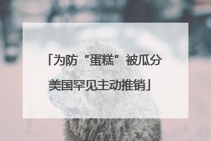 为防“蛋糕”被瓜分 美国罕见主动推销