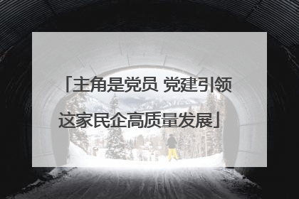 主角是党员 党建引领这家民企高质量发展
