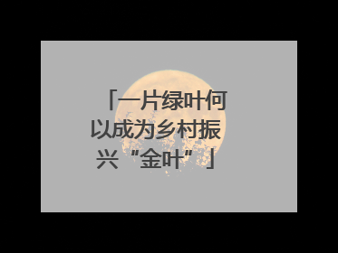 一片绿叶何以成为乡村振兴“金叶”