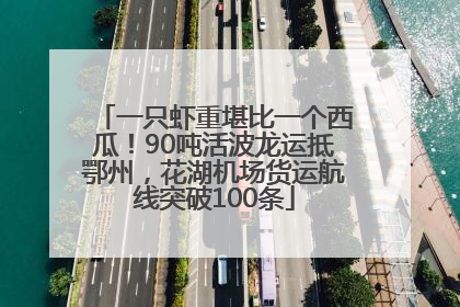 一只虾重堪比一个西瓜！90吨活波龙运抵鄂州，花湖机场货运航线突破100条