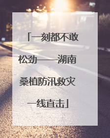 一刻都不敢松劲——湖南桑植防汛救灾一线直击