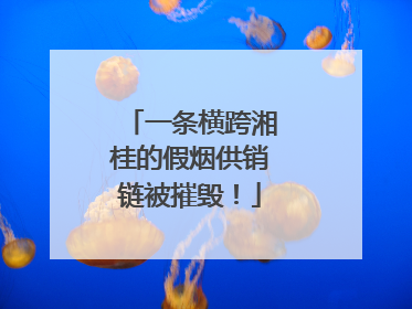 一条横跨湘桂的假烟供销链被摧毁！